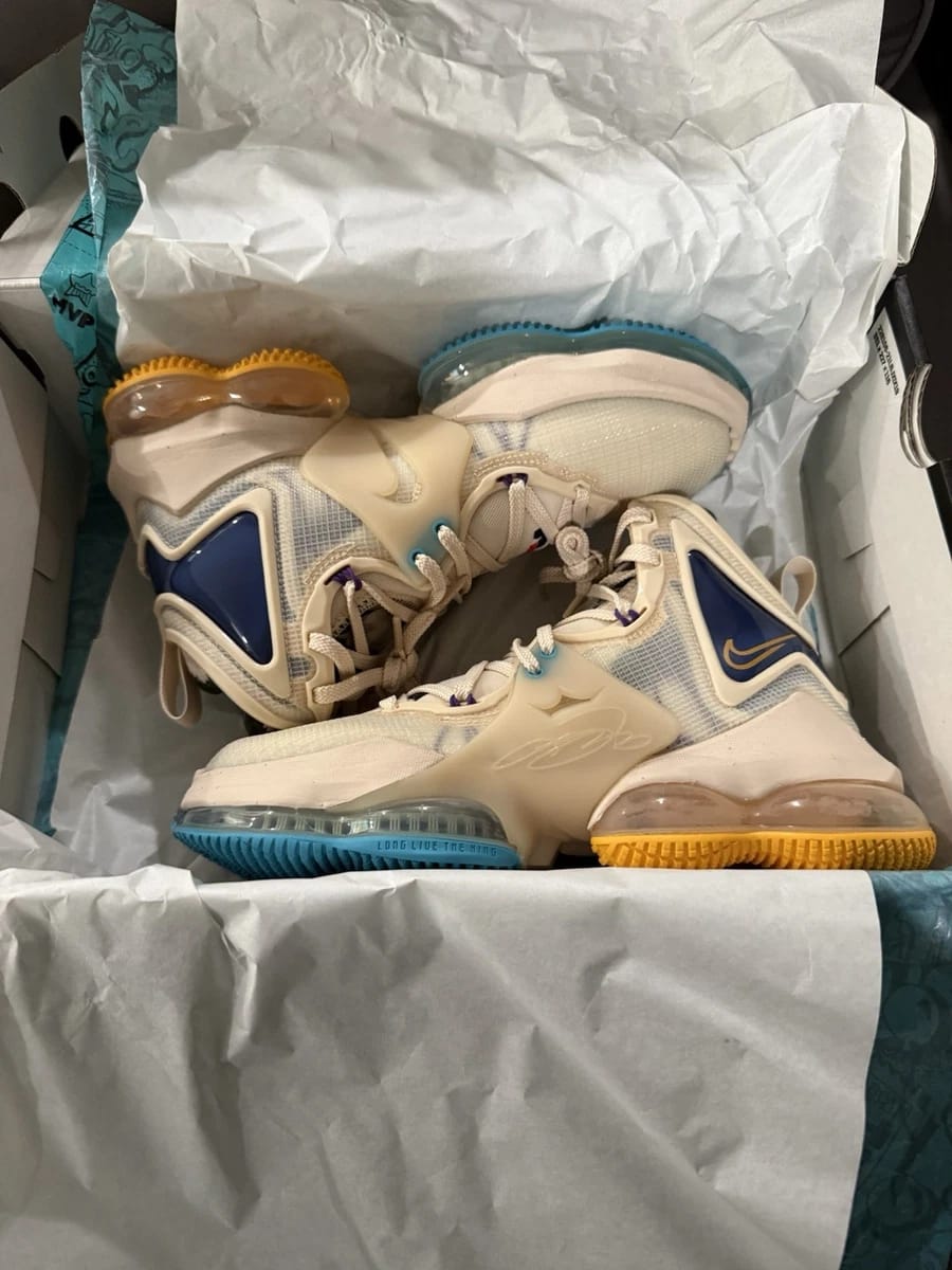 Nike LeBron 19 White