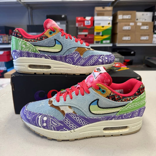 Nike Air Max 1 SP Concepts