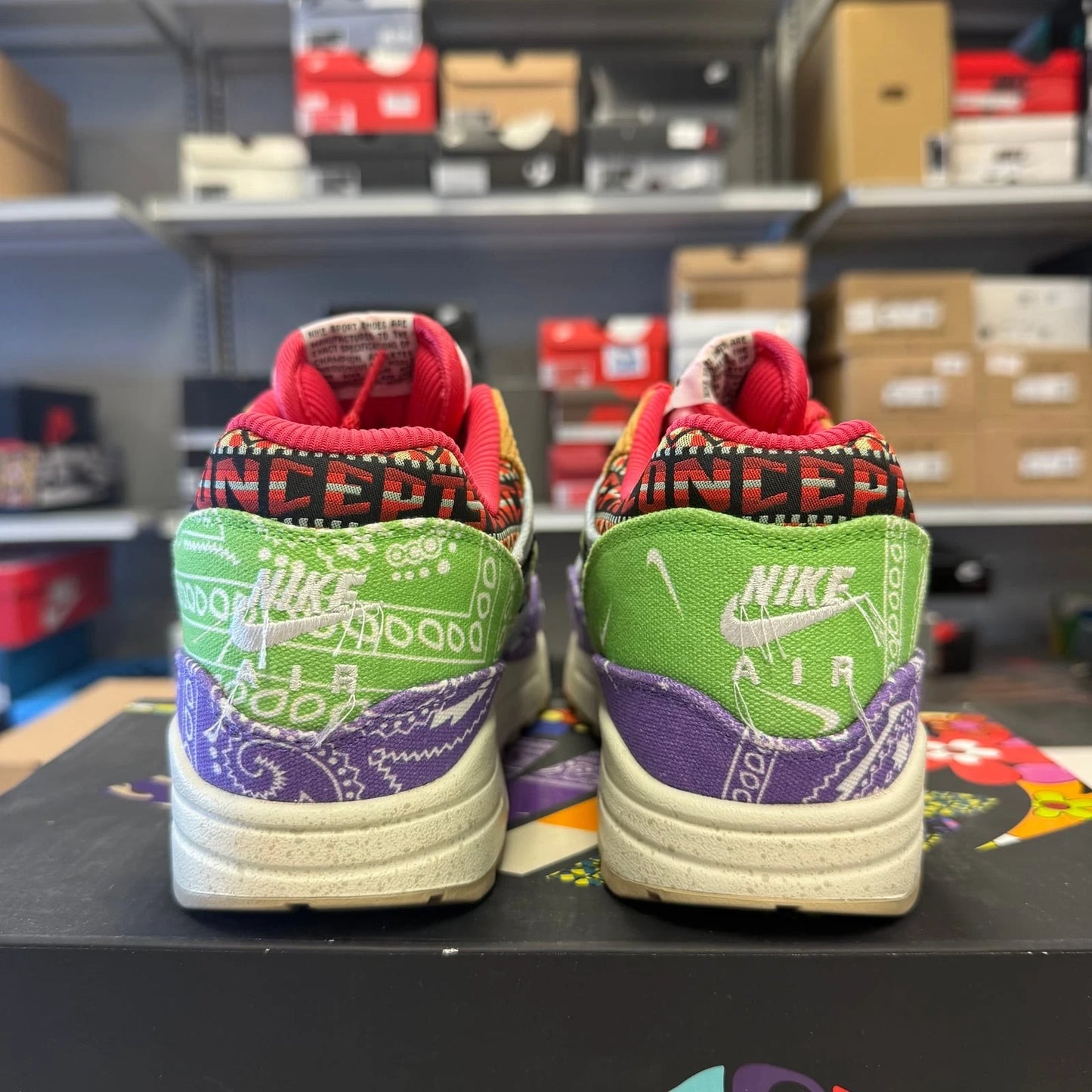 Nike Air Max 1 SP Concepts